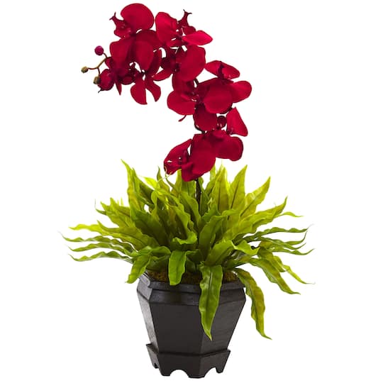 20&#x22; Red Orchid &#x26; Fern Arrangement with Wood Planter
